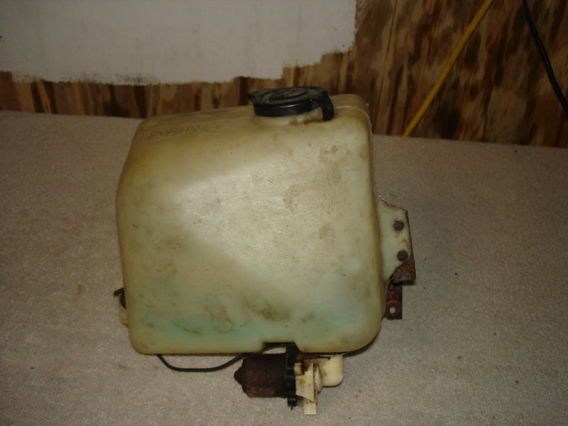 3431154a.JPG