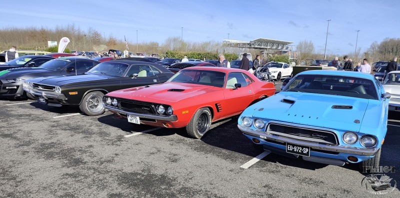 IMG_20260301_103707 [1750 fili].jpg