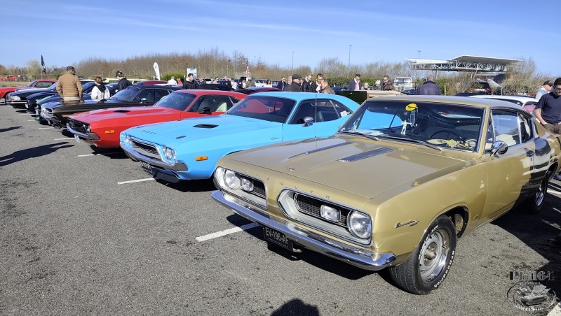 IMG_20260301_112145 [1750 fili].jpg