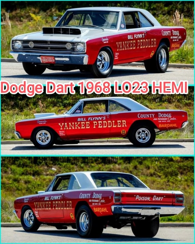 WhatsApp Image 2026-03-05 at 11.59.26 (1).jpeg