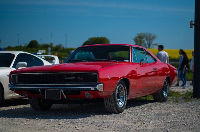 13112915_10206904347982408_2803051150837600475_o (1).jpg