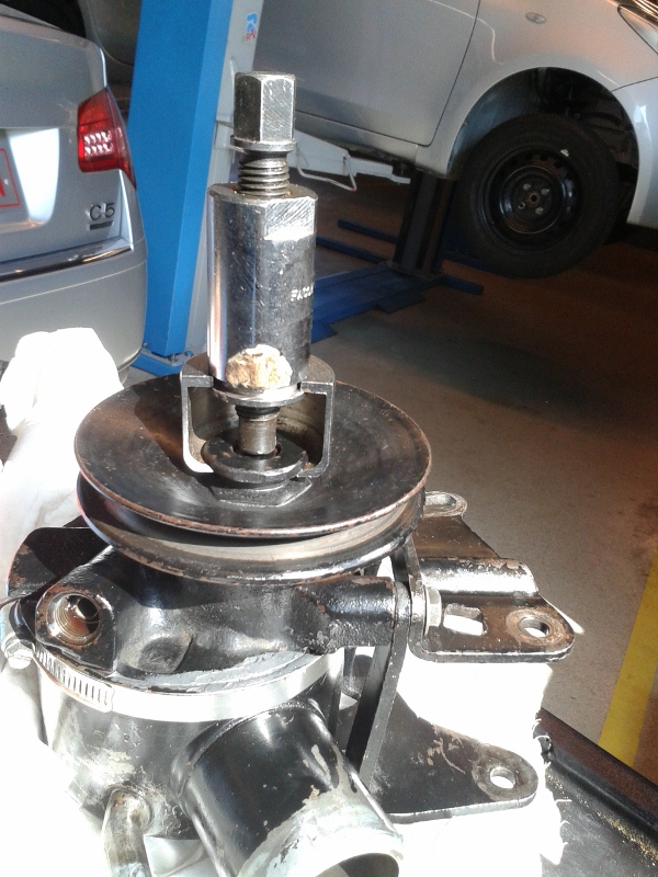 20150319_110714 (600x800).jpg