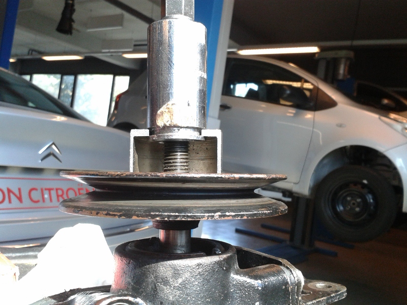 20150319_110926 (800x600).jpg