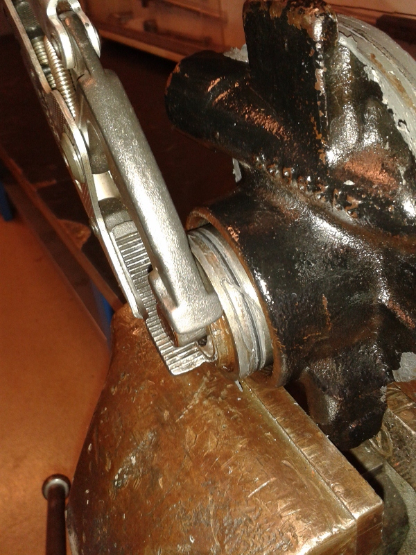 20150319_113457 (600x800).jpg