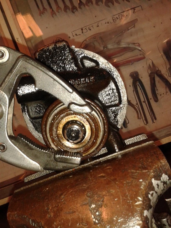 20150319_113511 (600x800).jpg